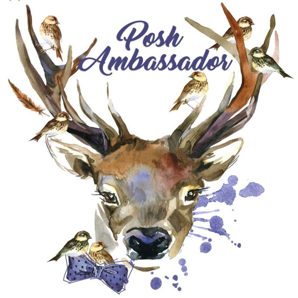 Posh Ambassador